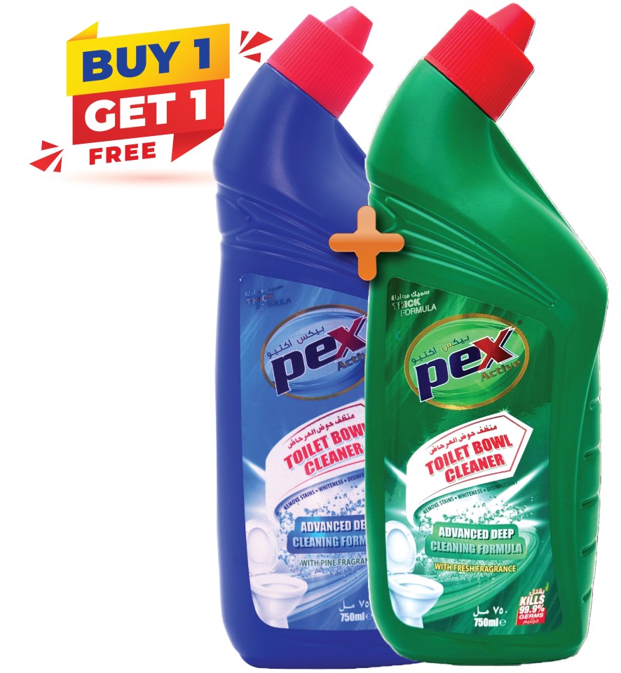 Toilet cleaner